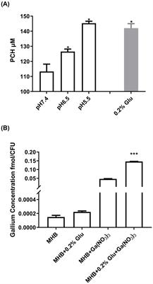 pH-mediated potentiation of gallium nitrate against Pseudomonas aeruginosa